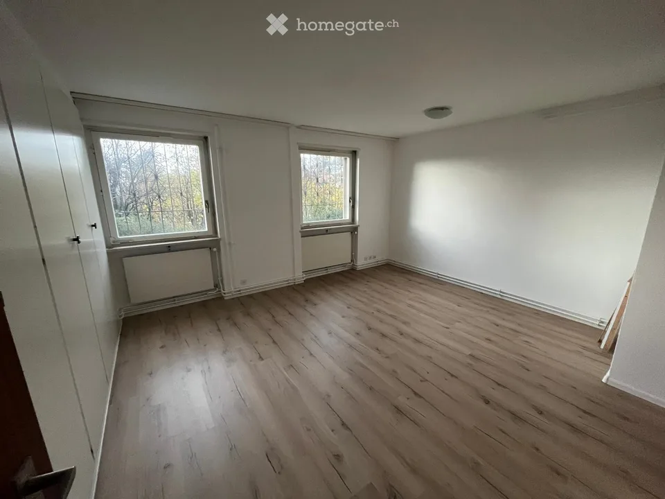 Vivere a Münchenstein nel verde con vista su Basilea – foto 13 di 23