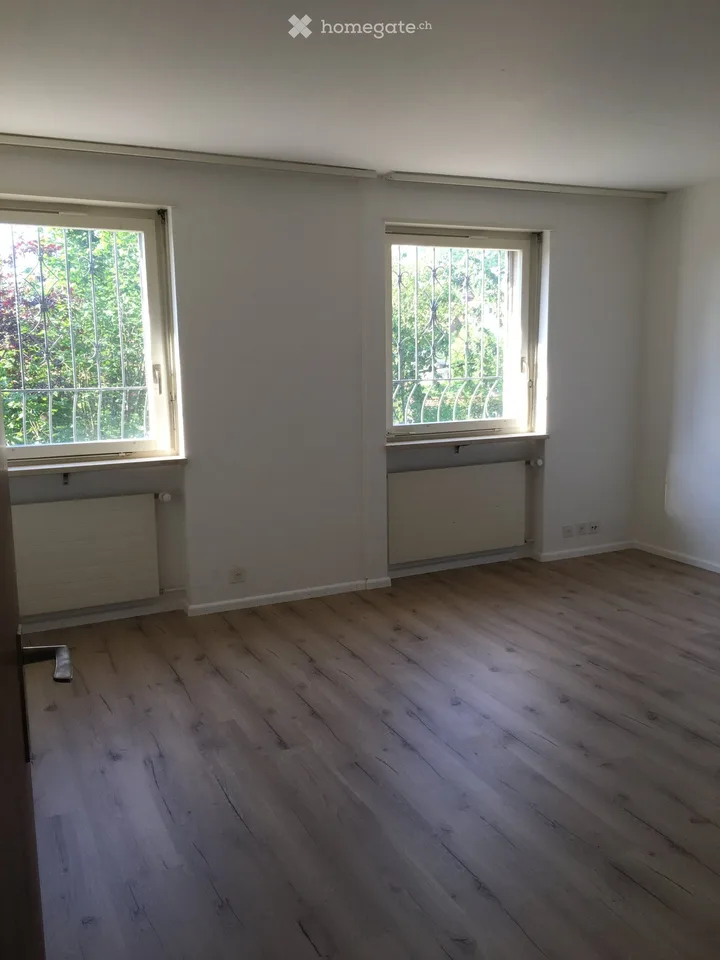 Vivere a Münchenstein nel verde con vista su Basilea – foto 22 di 23