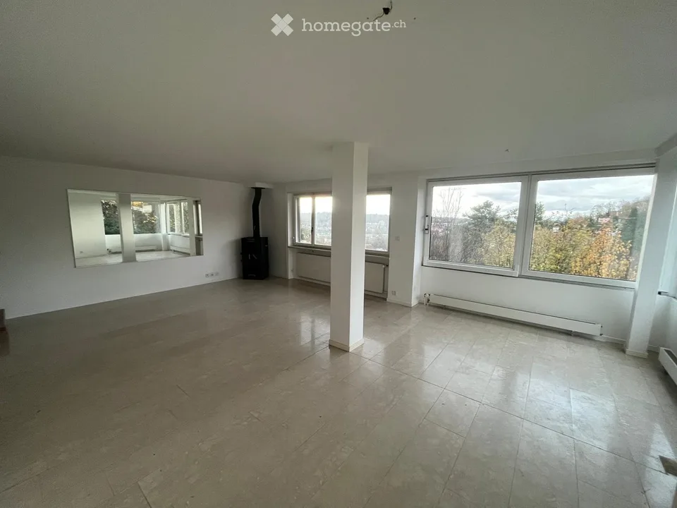Vivere a Münchenstein nel verde con vista su Basilea – foto 15 di 23