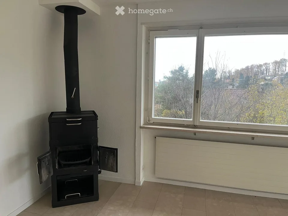 Vivere a Münchenstein nel verde con vista su Basilea – foto 18 di 23