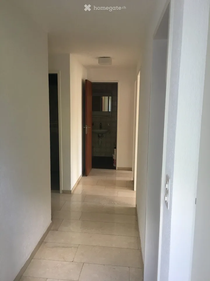 Vivere a Münchenstein nel verde con vista su Basilea – foto 23 di 23
