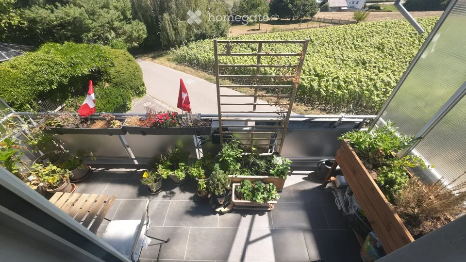 Modernes WG Zimmer in Niederwangen, frisch renoviert 2023 – Foto 5 von 5