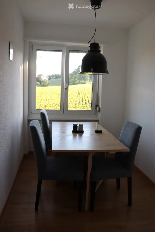 Modernes WG Zimmer in Niederwangen, frisch renoviert 2023 – Foto 3 von 5