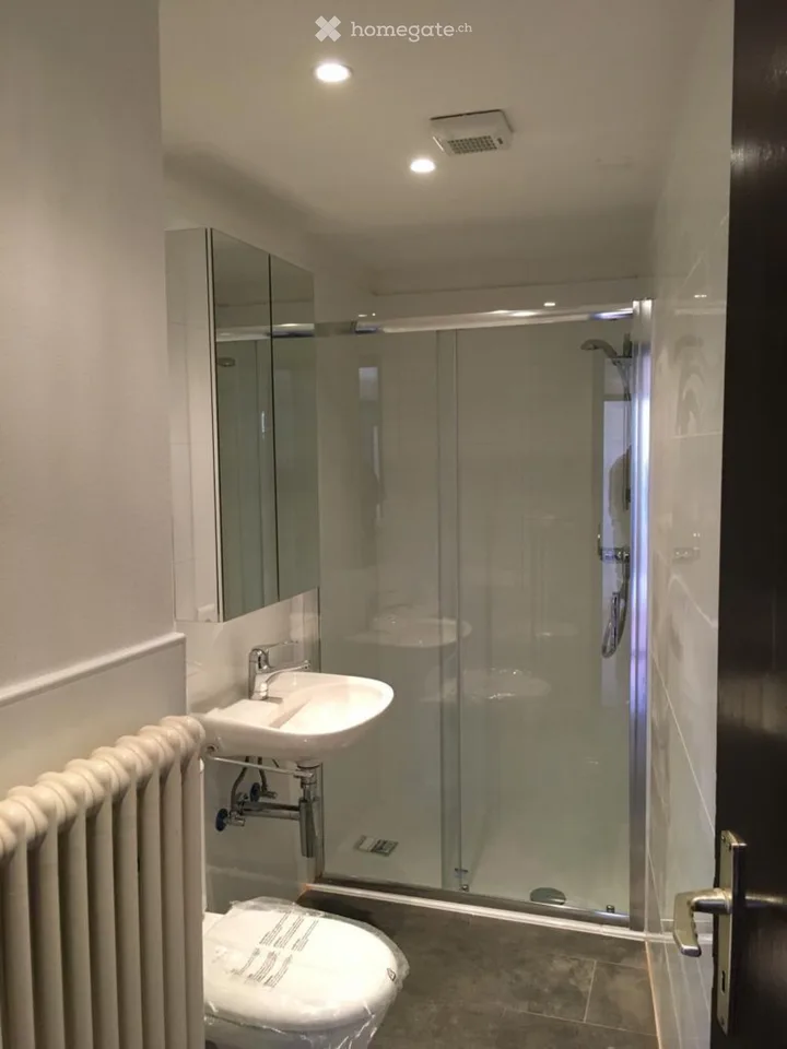 Zweieinhalb Zimmer zu vermieten – Foto 5 von 5