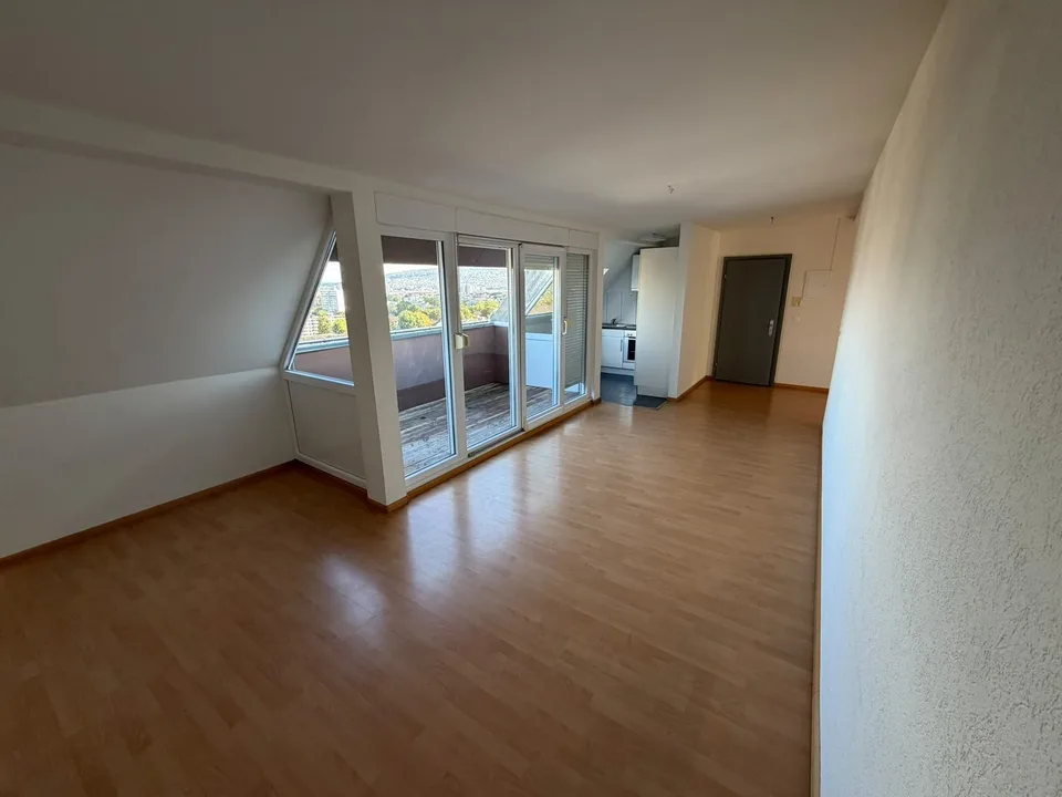 Dream penthouse apartment with breathtaking views of Zurich! – photo 3 of 9