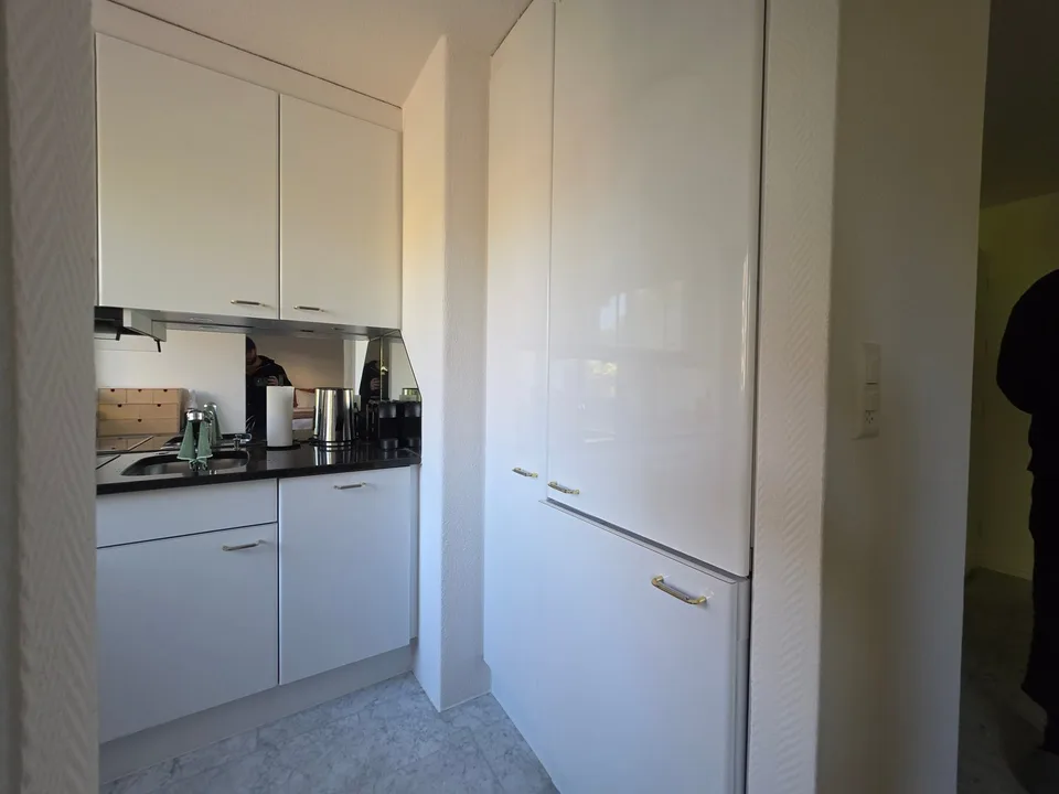 Helles 1-Zimmer-Apartment in Zürich Wiedikon – Foto 2 von 6