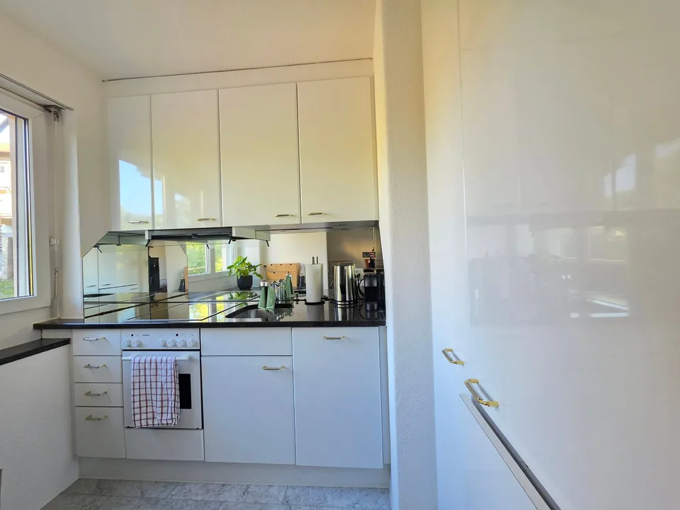 Helles 1-Zimmer-Apartment in Zürich Wiedikon – Foto 3 von 6