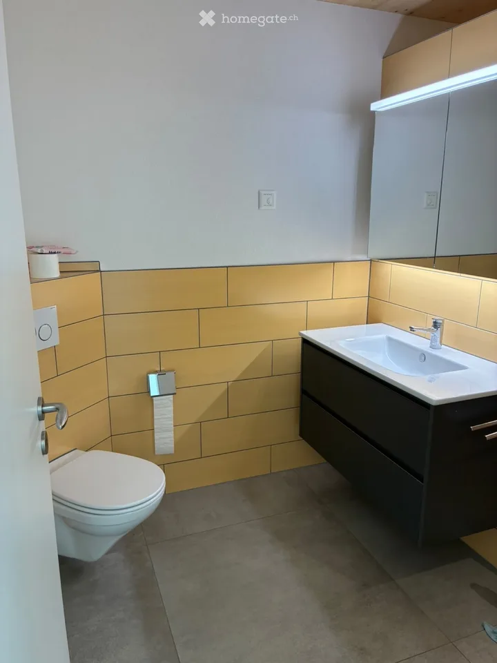 Moderne Doppelhaushälfte in Frauenfeld – Foto 3 von 5