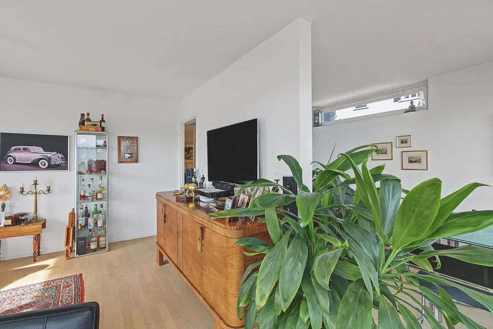 Appartement de rêve de 3½ pièces avec vue sur le lac et la montagne – proche de la ville, rénové ! – photo 5 sur 15