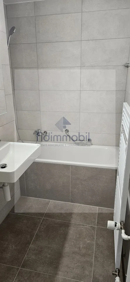 Bel appartement entièrement rénové, lumineux et agréable à vivre – photo 4 sur 6