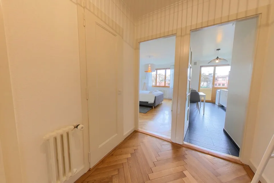 Furnished apartment - 1 bedroom / Appartement meublé 1 chambre - in the center of Geneva – foto 4 di 5