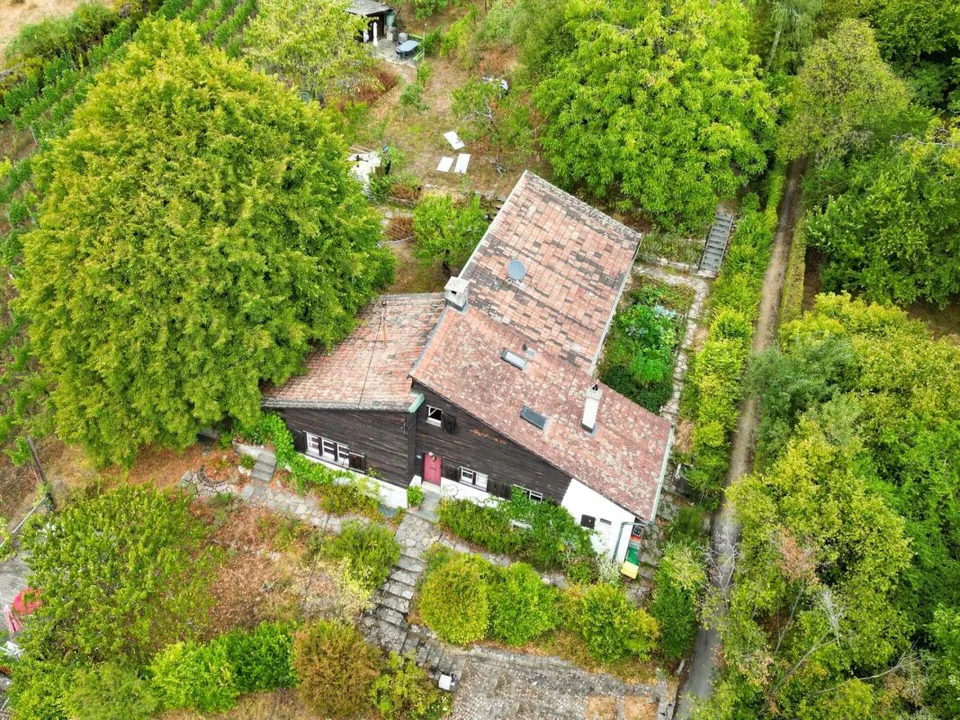 4.5 Zimmer Einfamilienhaus in Riehen – Foto 13 von 13
