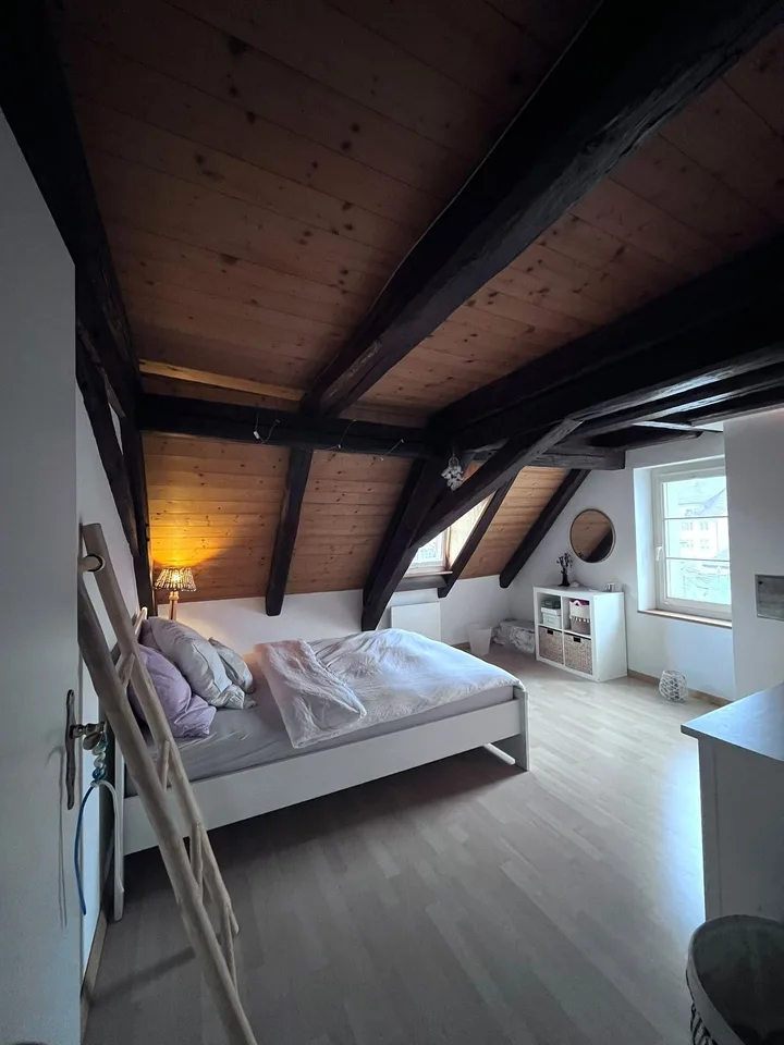 Appartamento in vecchio edificio affascinante a Schaffhausen – foto 5 di 8