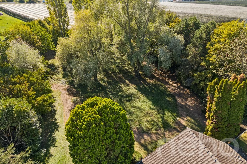 Einmalige Rarität am Bodensee ? exklusives Seegrundstück in Kesswil – Foto 8 von 12