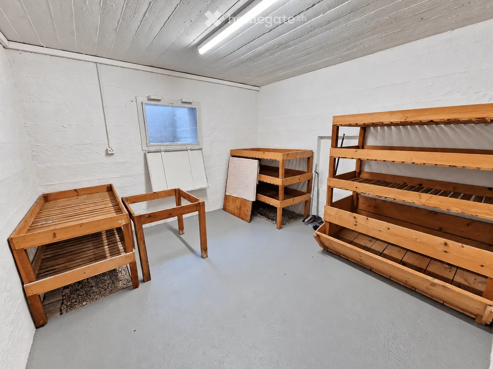 Renoviertes 4.5 Zimmer Doppeleinfamilienhaus mit Garten – Foto 21 von 23