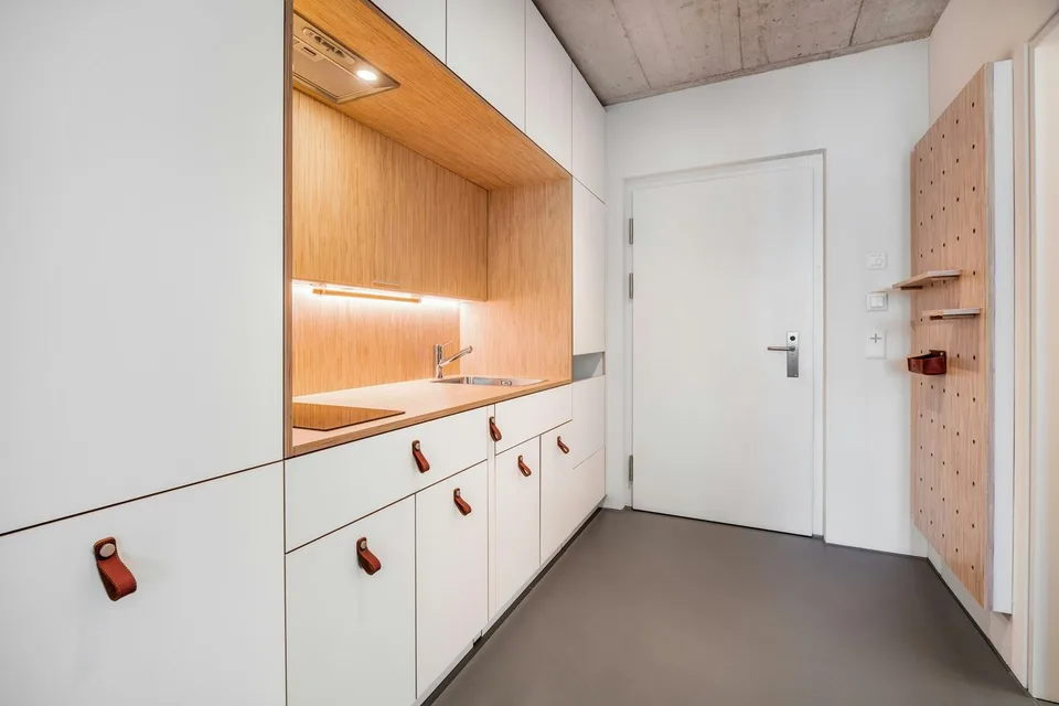 Appartement moderne meublé d'une pièce à Winterthur – photo 3 sur 11