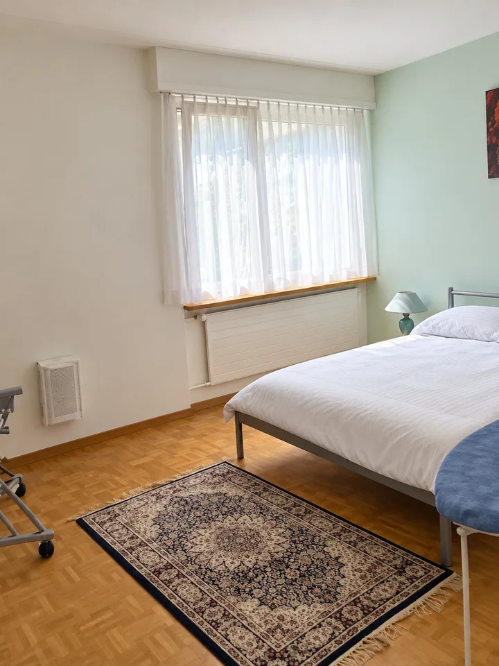 ⭐Appartamento arredato di 3,5 locali con balcone a Opfikon – foto 9 di 16