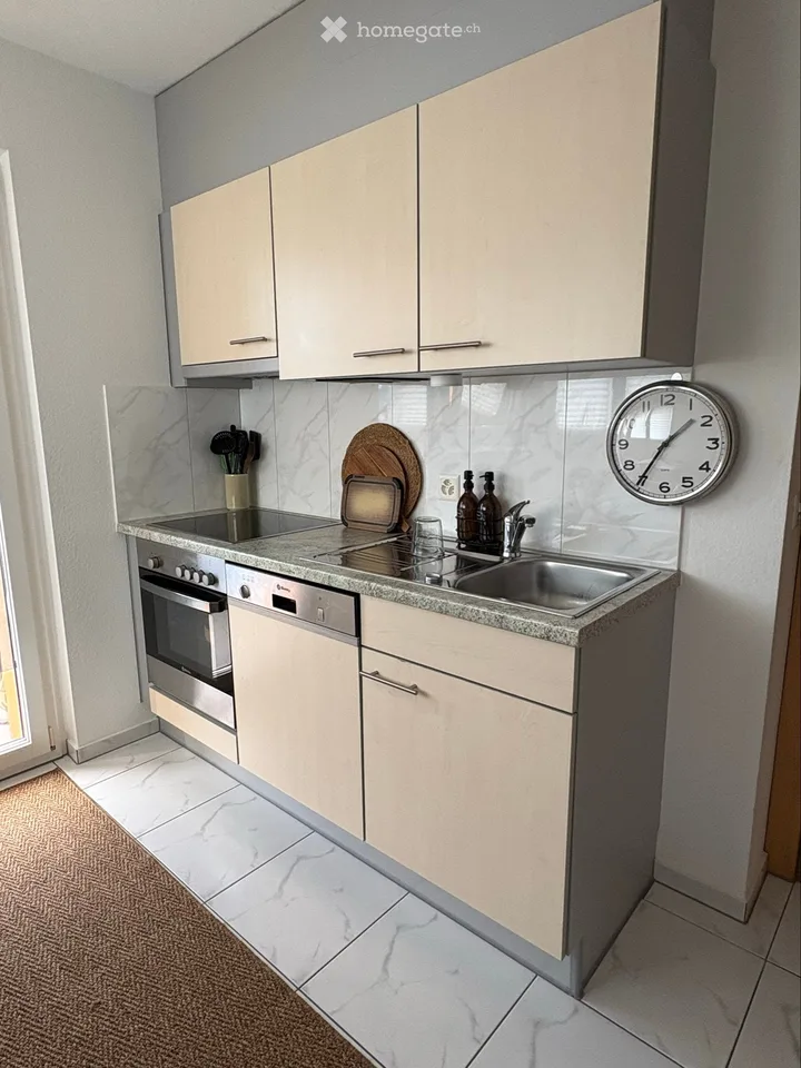 Nachmieter gesucht 2.5-Zimmer-Wohnung in Luzern Maihof – Foto 5 von 5