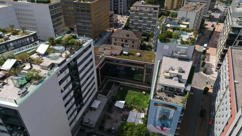 Espace administratif/commercial, Paradiso – photo 3 sur 12