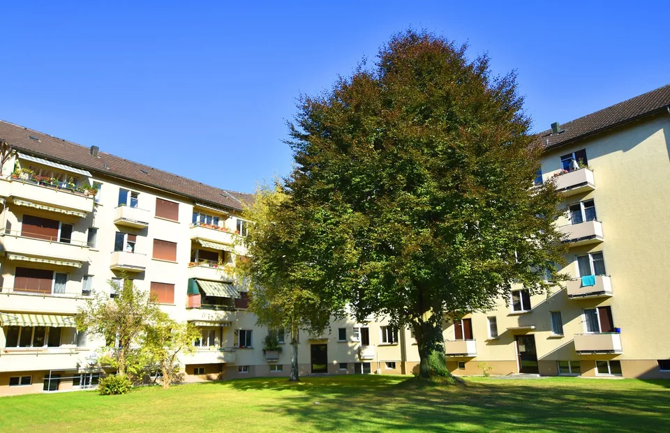 Nouveau bonheur de vivre à Thun recherché ? – photo 2 sur 7