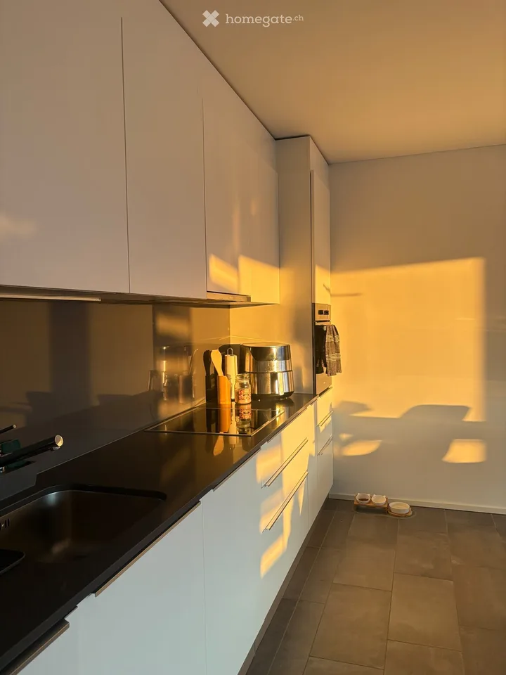 GESUCHT: Untermieter 3.5 - Bellinzona – Foto 2 von 5