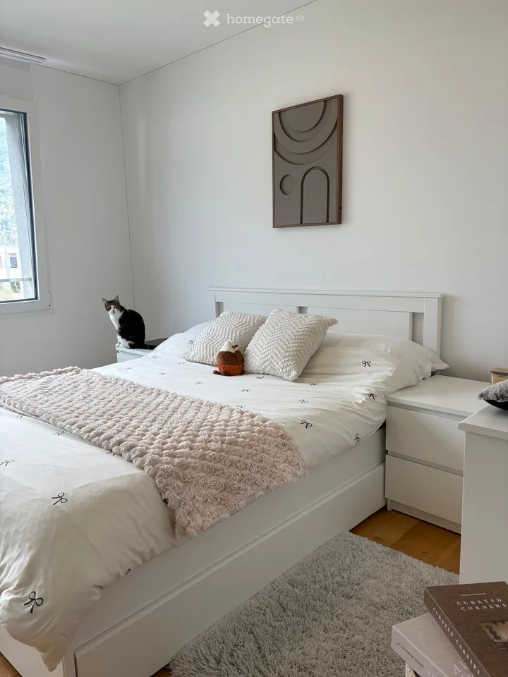 GESUCHT: Untermieter 3.5 - Bellinzona – Foto 3 von 5