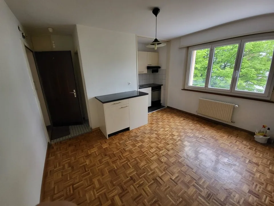 Charming studio in the surroundings of Fribourg – photo 2 of 3