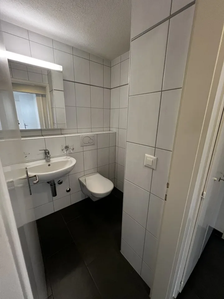 Bright 4-room apartment on the ground floor in Steinhausen – photo 4 of 10