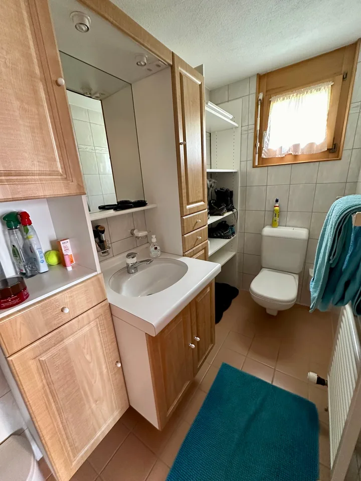 Charmant appartement de 3 pièces avec terrasse à Vercorin – photo 11 sur 13