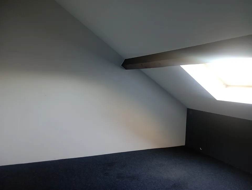 CAROUGE - Cross-Through Apartment 3 Rooms ?60 m² 2nd Floor NO LIFT – photo 2 of 12