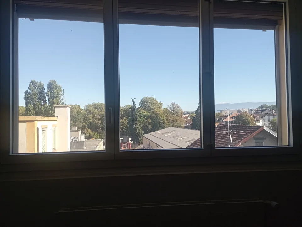 CAROUGE - Cross-Through Apartment 3 Rooms ?60 m² 2nd Floor NO LIFT – photo 7 of 12