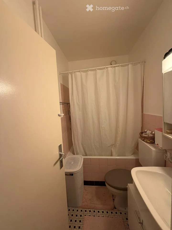 Helles 2,5-Zimmer-Wohnung zur Miete – Foto 4 von 5