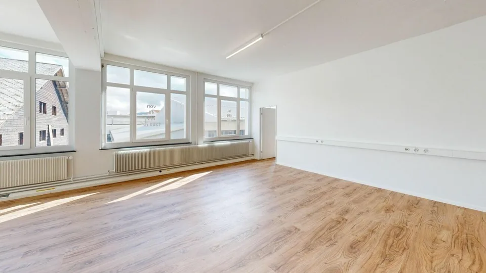 Two attractive rental properties for office, studio, and commercial use – photo 4 of 14
