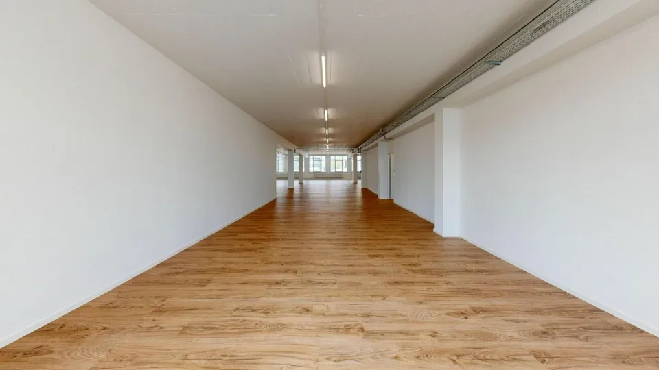Two attractive rental properties for office, studio, and commercial use – photo 7 of 14