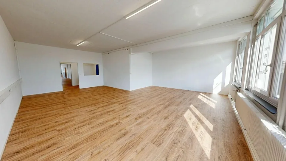 Two attractive rental properties for office, studio, and commercial use – photo 3 of 14