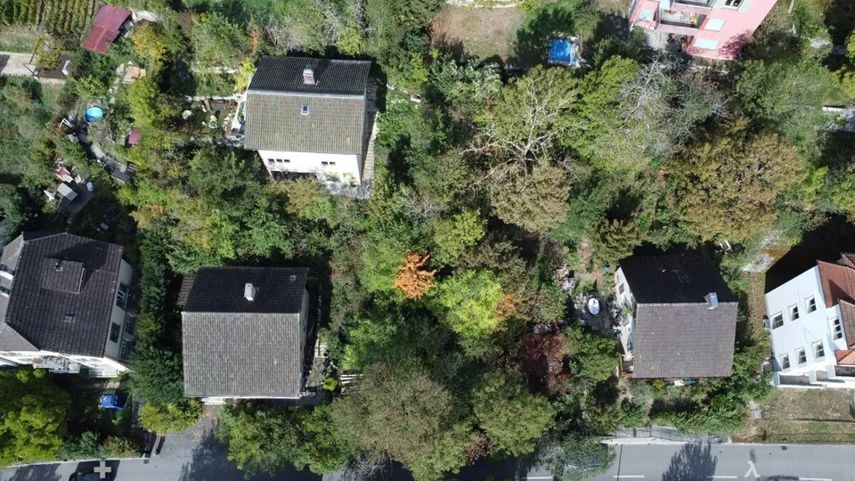 Building plot W3 near the lake – photo 7 of 7