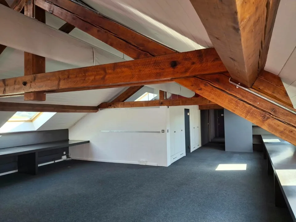 CAROUGE (Rondeau) - Office Space 160 m² 2nd Floor NO Elevator – photo 11 of 13
