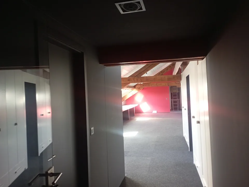 CAROUGE (Rondeau) - Office Space 160 m² 2nd Floor NO Elevator – photo 2 of 13