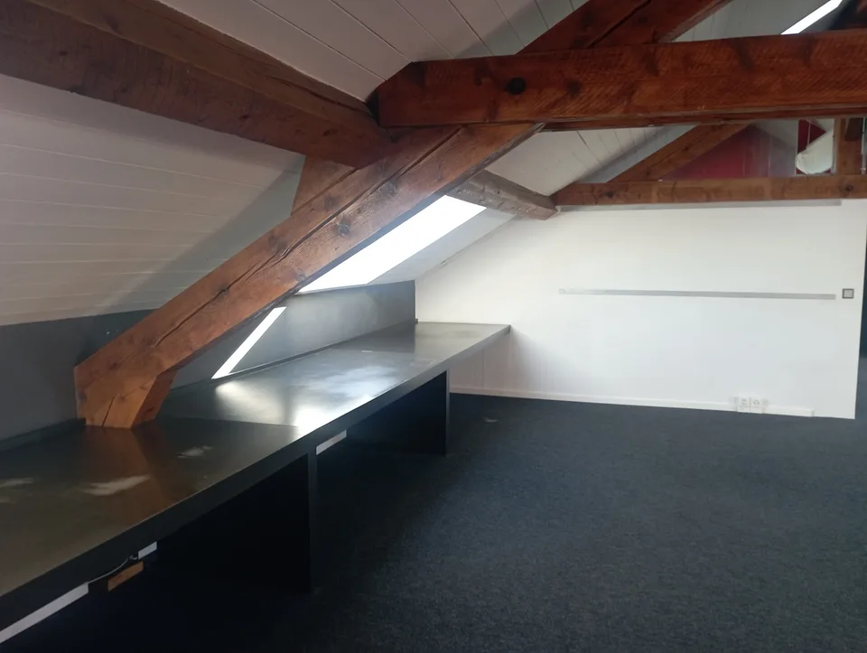 CAROUGE (Rondeau) - Office Space 160 m² 2nd Floor NO Elevator – photo 3 of 13