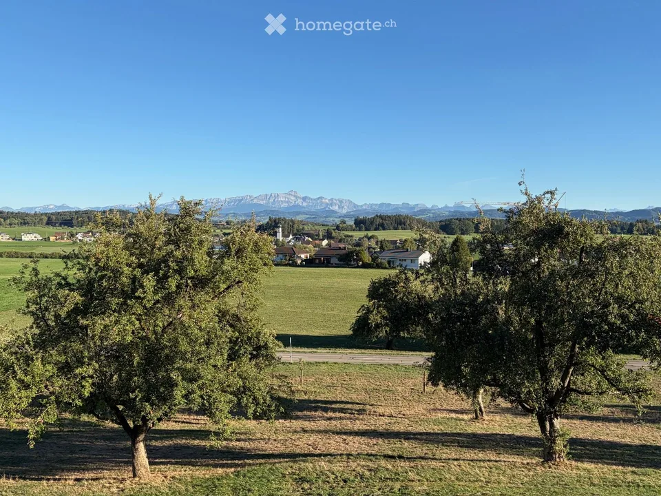 6 1/2-Zimmer Einfamilienhaus in 9525 Lenggenwil – Foto 3 von 5