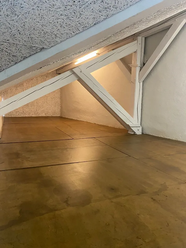 CAROUGE - Open-Space/Office ?125 m² of Ground Floor + Kitchen + Attic – photo 7 of 9
