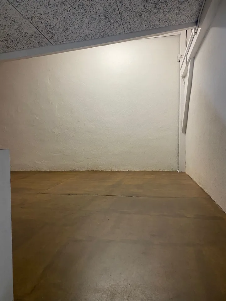 CAROUGE - Open-Space/Office ?125 m² of Ground Floor + Kitchen + Attic – photo 4 of 9