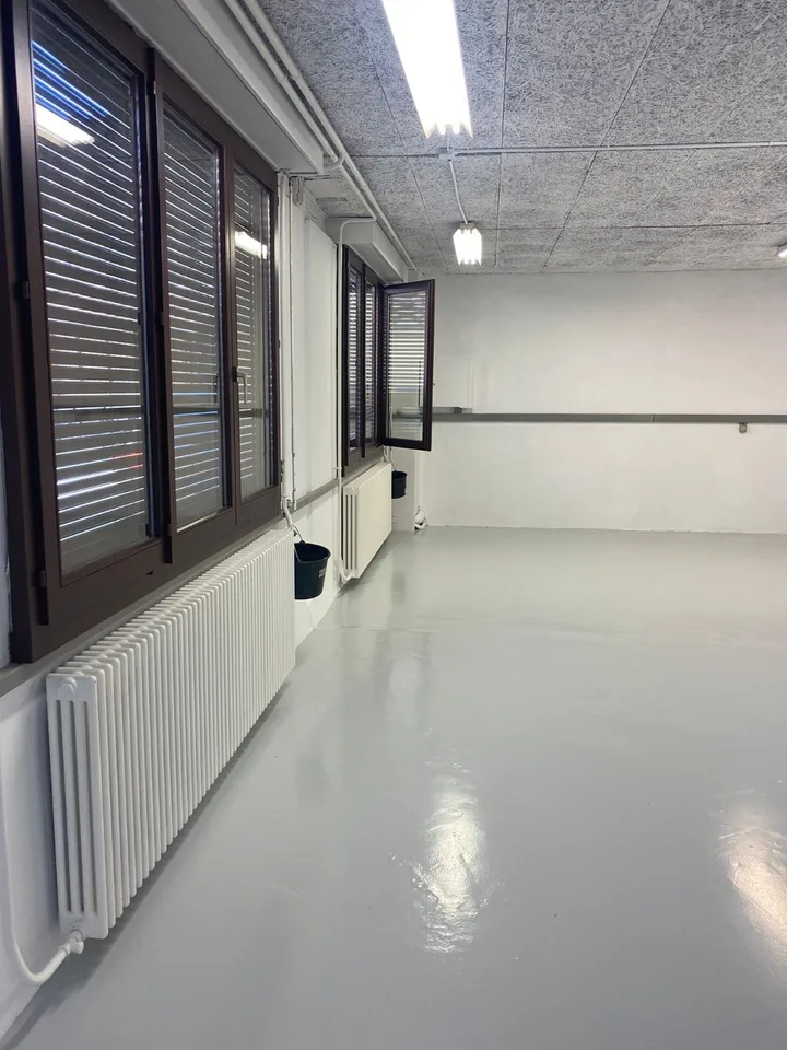 CAROUGE - Open-Space/Office ?125 m² of Ground Floor + Kitchen + Attic – photo 3 of 9
