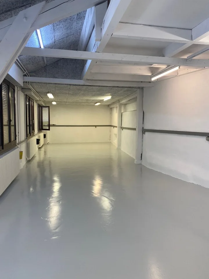 CAROUGE - Open-Space/Office ?125 m² of Ground Floor + Kitchen + Attic – photo 2 of 9