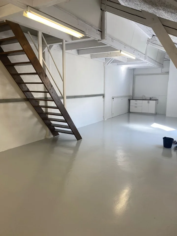 CAROUGE - Open-Space/Office ?125 m² of Ground Floor + Kitchen + Attic – photo 5 of 9