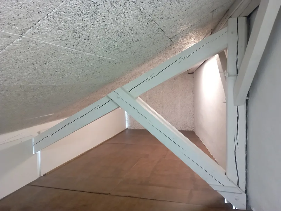 CAROUGE - Open-Space/Office ?125 m² of Ground Floor + Kitchen + Attic – photo 6 of 9