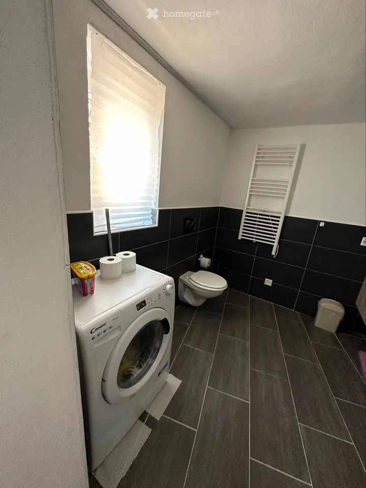 Möbliertes Einzimmerapartment zur Miete – Foto 3 von 3
