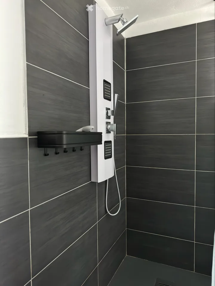 Möbliertes Einzimmerapartment zur Miete – Foto 2 von 3