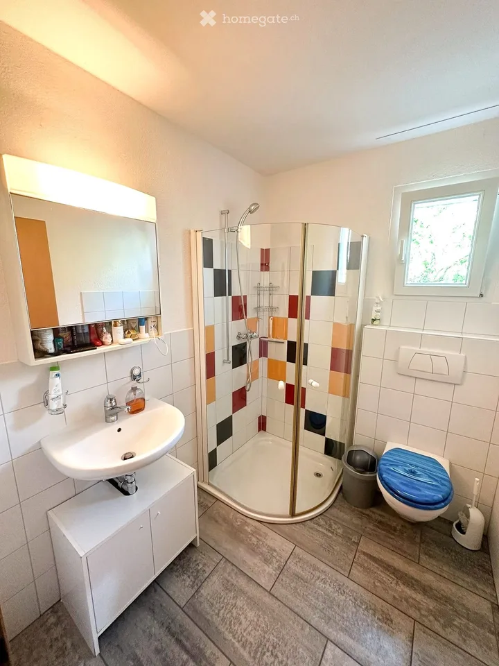 2.5-3 Zimmer-Wohnung mit grossem Garten in Altenrhein – Foto 5 von 5