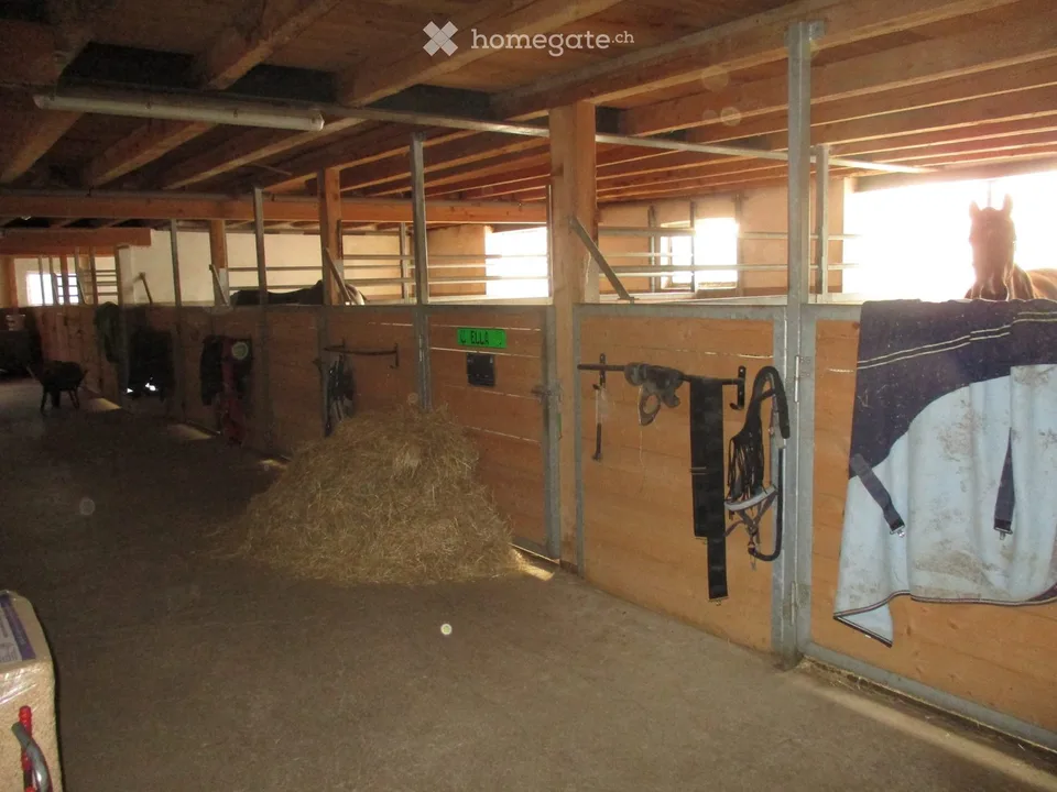 Hausteil mit Pferdestall – Foto 4 von 5